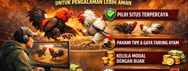 Sabung Ayam dan Agen Taruhan Online: Tren, Tantangan, dan Regulasi